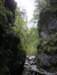 photo215_small.jpg