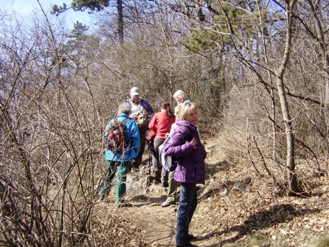 photo245.jpg