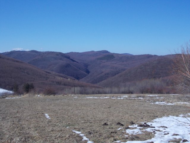 photo250.jpg