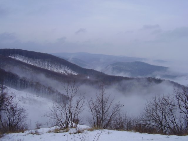 photo26.jpg
