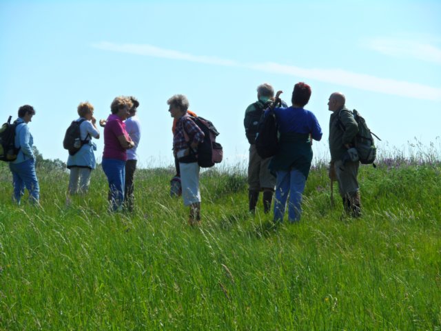 photo261.jpg