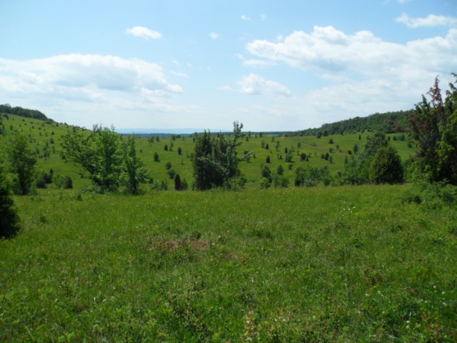 photo272.jpg