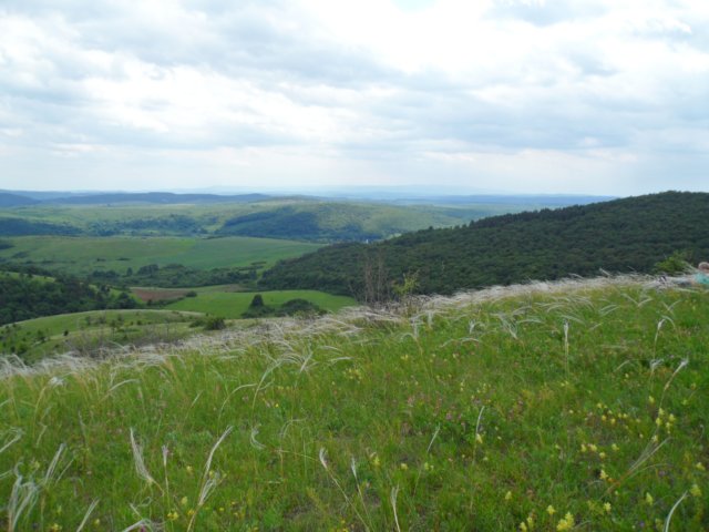 photo279.jpg