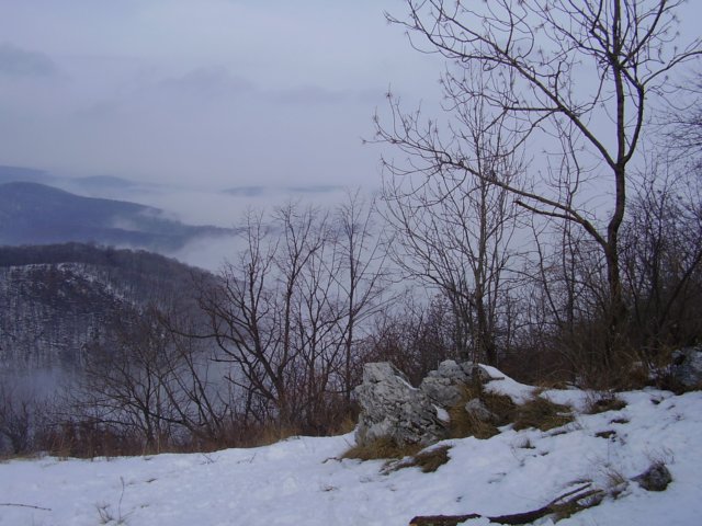 photo29.jpg