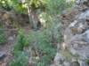 photo292_small.jpg