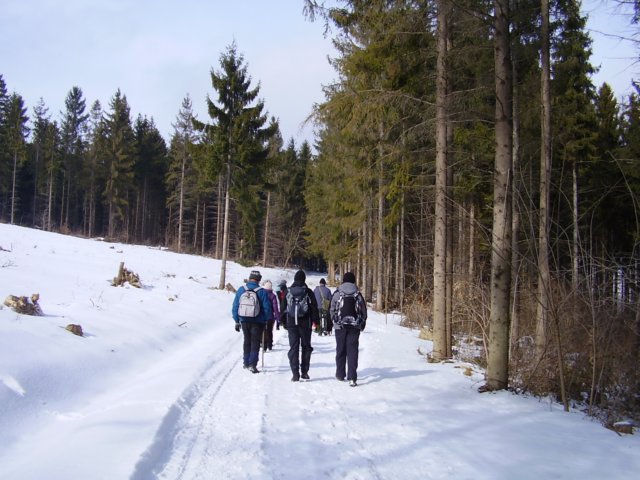 photo31.jpg