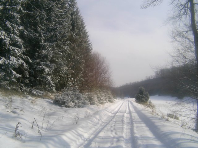 photo4.jpg
