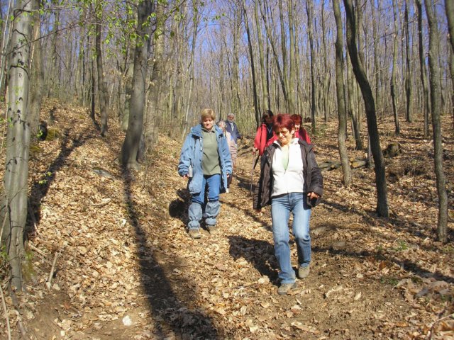 photo47.jpg