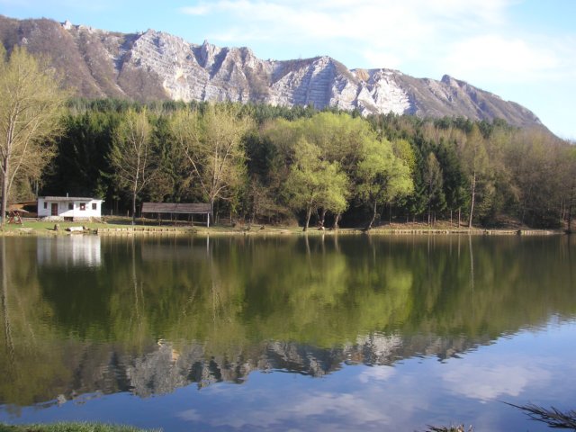 photo48.jpg