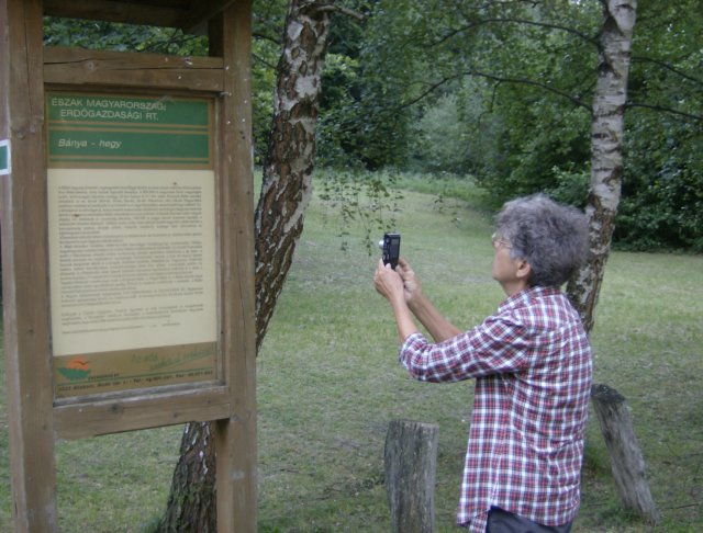 photo50.jpg