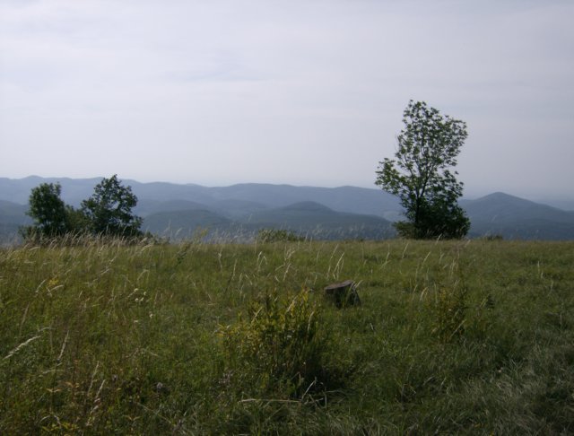 photo52.jpg