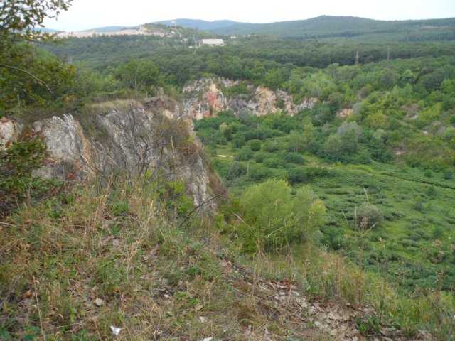 photo67.jpg