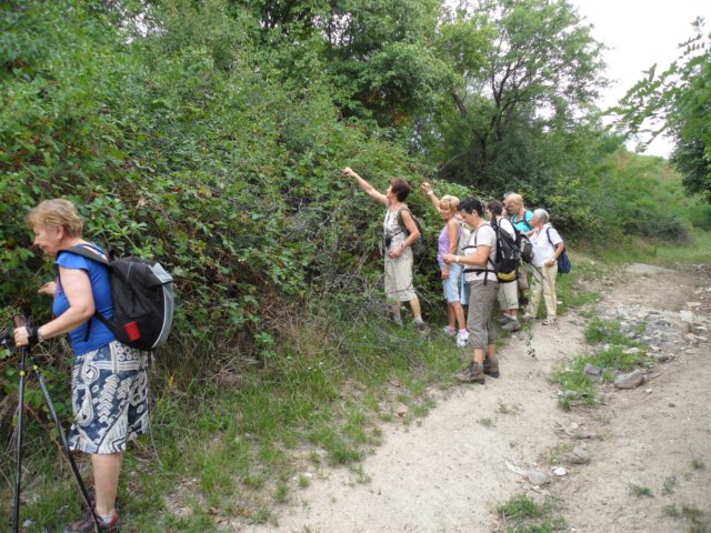 photo75.jpg