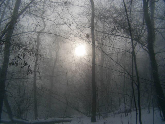 photo8.jpg