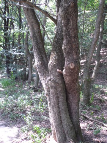 photo81.jpg