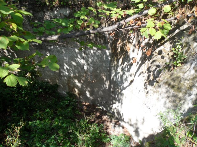 photo85.jpg