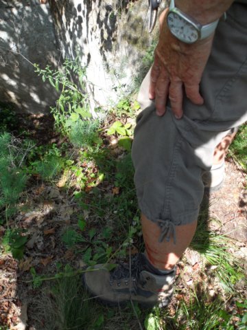 photo87.jpg