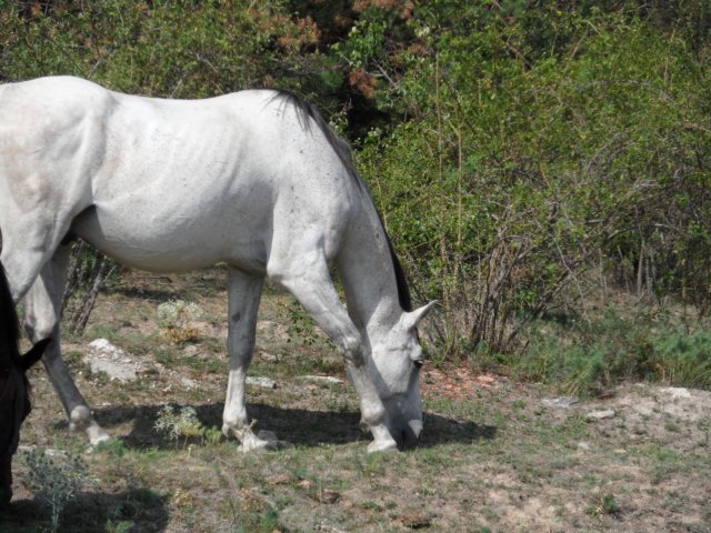 photo93.jpg