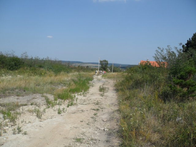 photo95.jpg