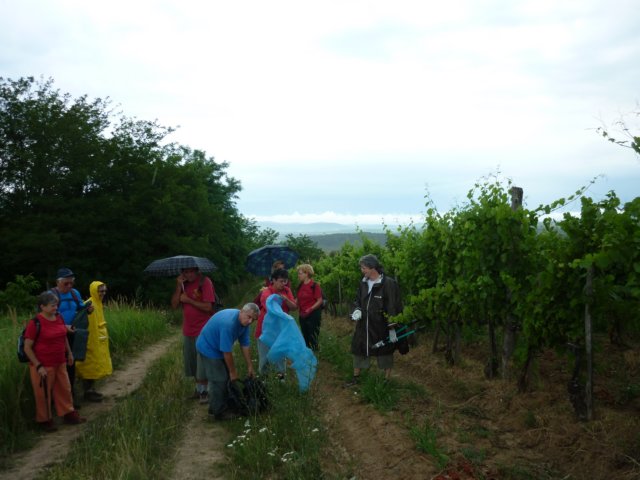 photo129.jpg