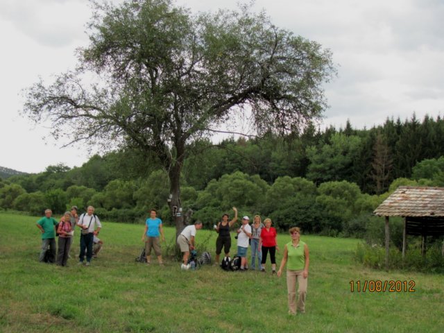 photo138.jpg