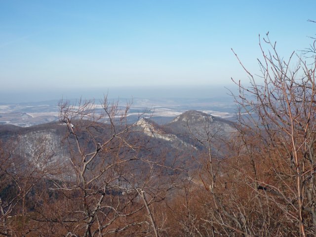 photo17.jpg