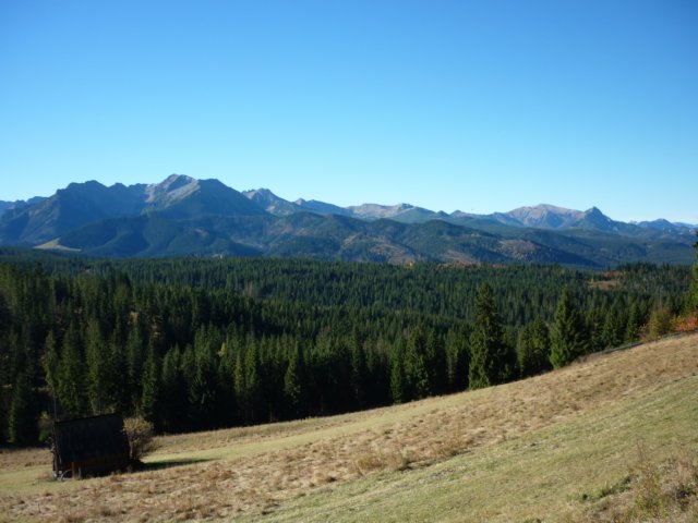 photo170.jpg