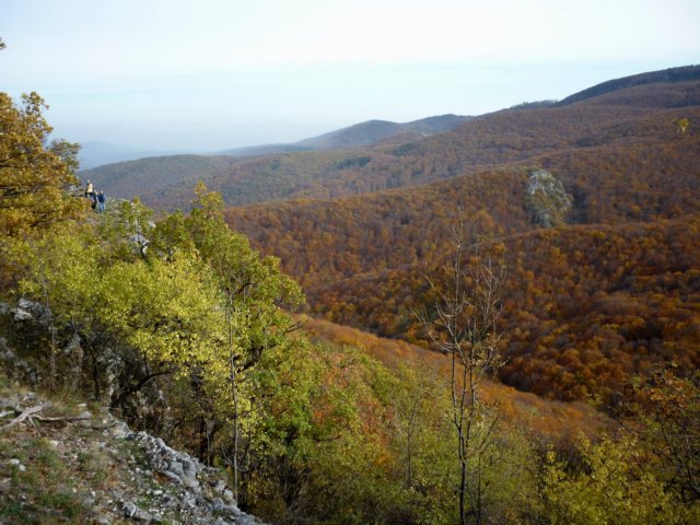 photo199.jpg