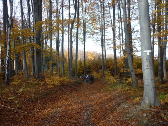 photo201.jpg