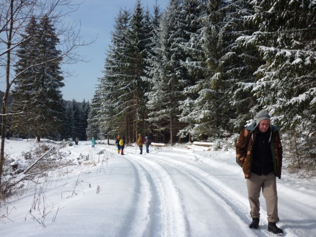 photo22.jpg