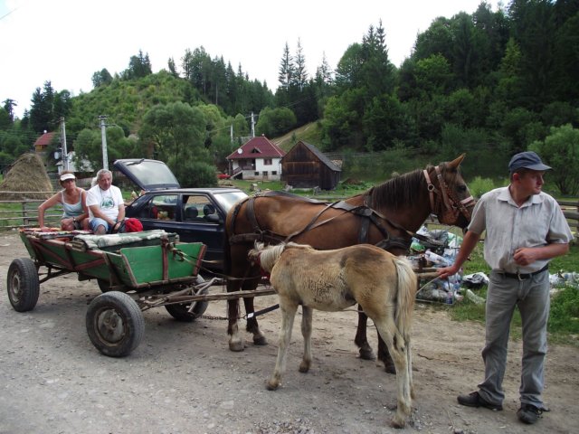 photo237.jpg