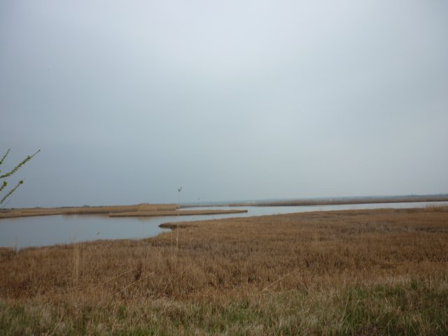 photo253.jpg