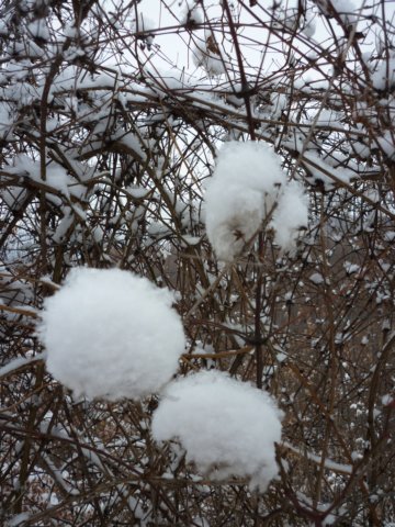 photo26.jpg