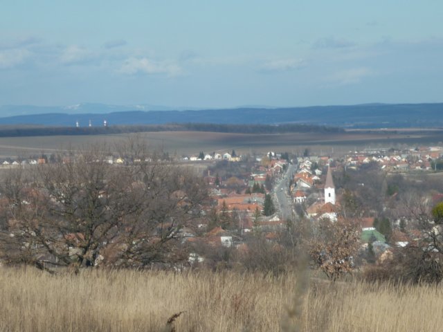 photo51.jpg