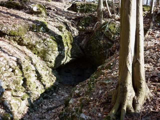 photo60.jpg