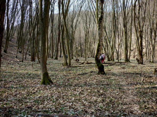 photo84.jpg