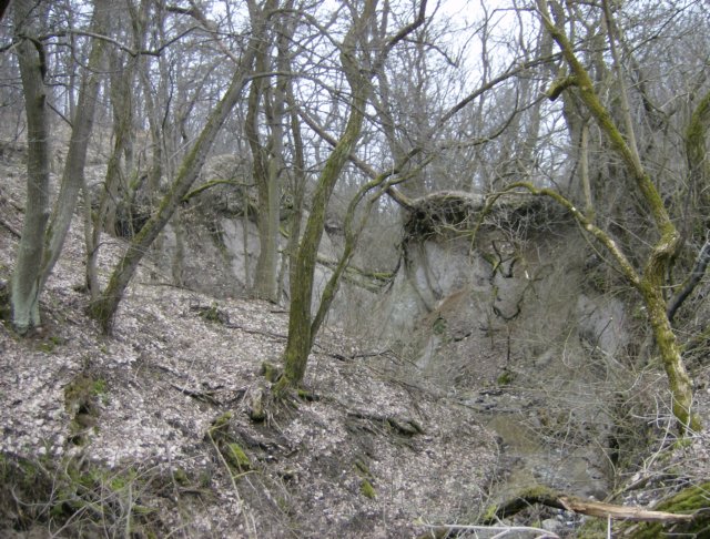 photo49.jpg
