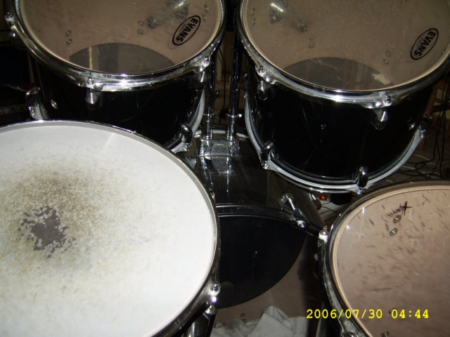 ssa40550.jpg