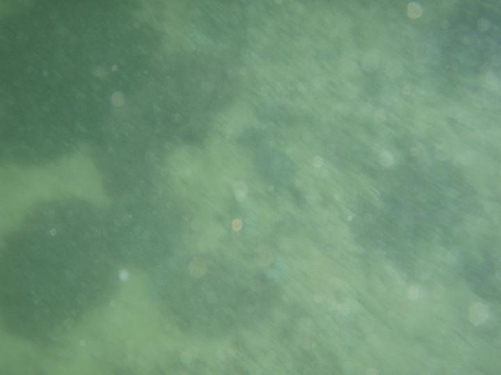 P8220014.JPG