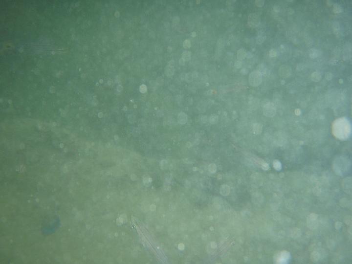 P8220023.JPG