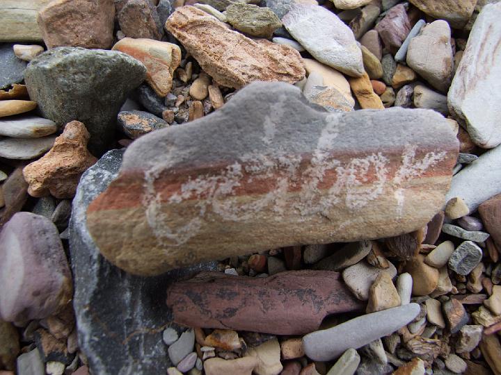 DSCF1255.JPG