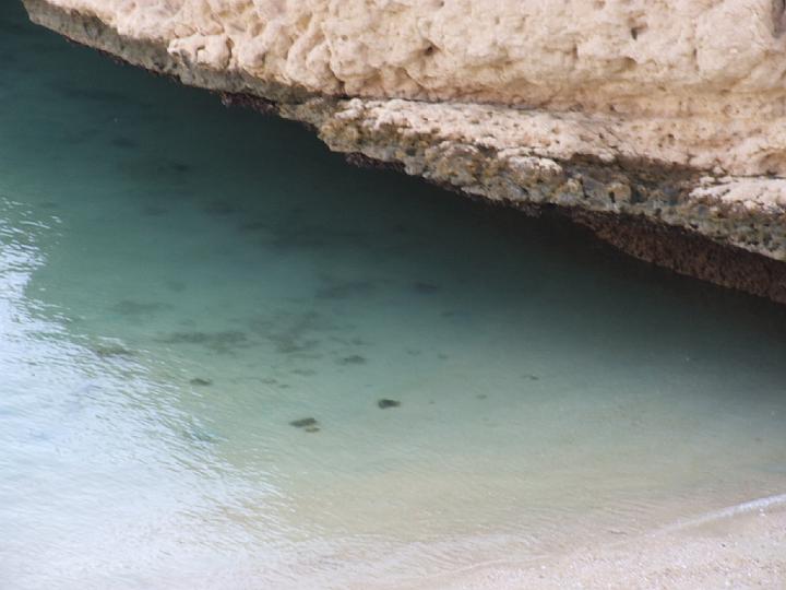 DSCF1484.JPG
