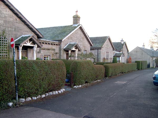 dunbarton 28