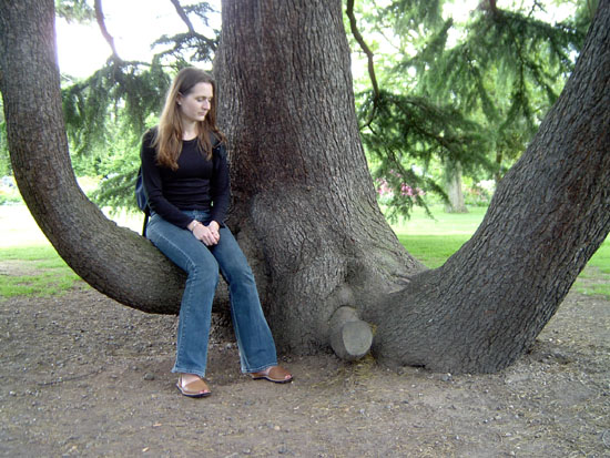 greenwich047