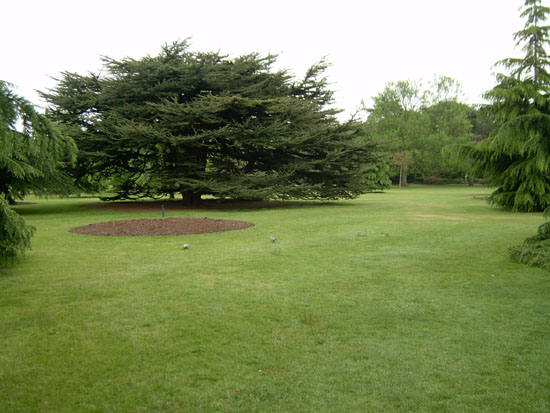 greenwich048