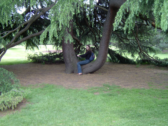 greenwich049