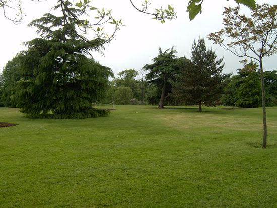 greenwich051