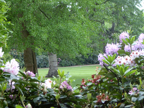 greenwich063