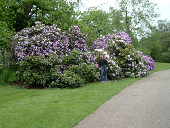 greenwich074