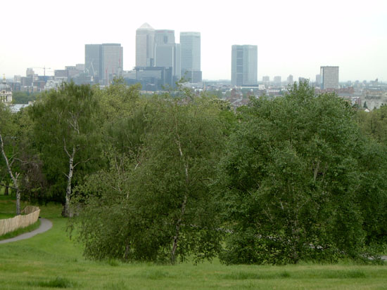 greenwich086
